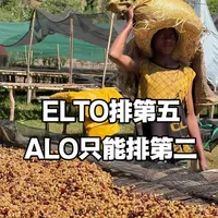 埃塞俄比亚咖啡生豆排行榜 #埃塞俄比亚咖啡 
#尽力而为咖啡 
#尽力而为咖啡豆 
#宋春丹