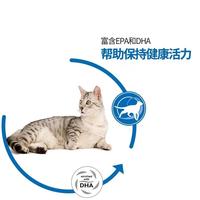 老年猫养护必看！2026老年猫粮权威推荐榜单 关节呵护、肾脏保护、消化适配
