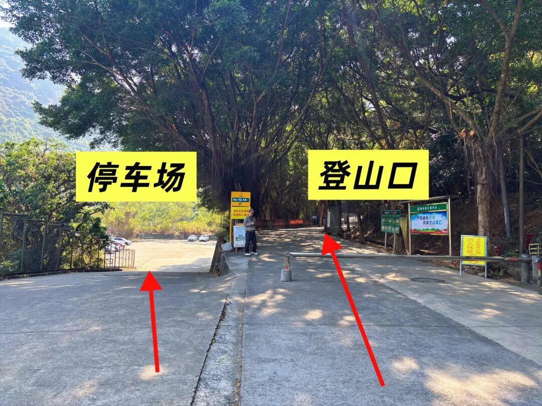 亲子徒步 | 周末带5岁7岁娃冲鹅公髻,人称“深圳小张家界”的地方