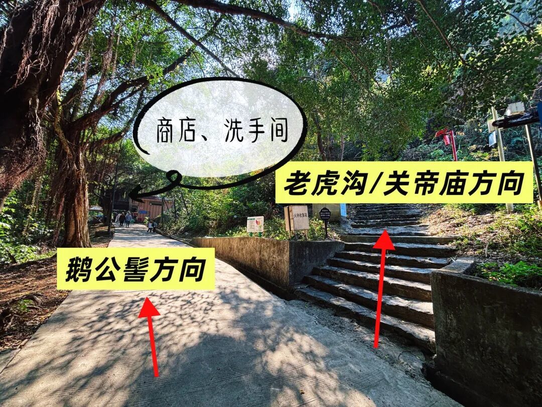 亲子徒步 | 周末带5岁7岁娃冲鹅公髻,人称“深圳小张家界”的地方