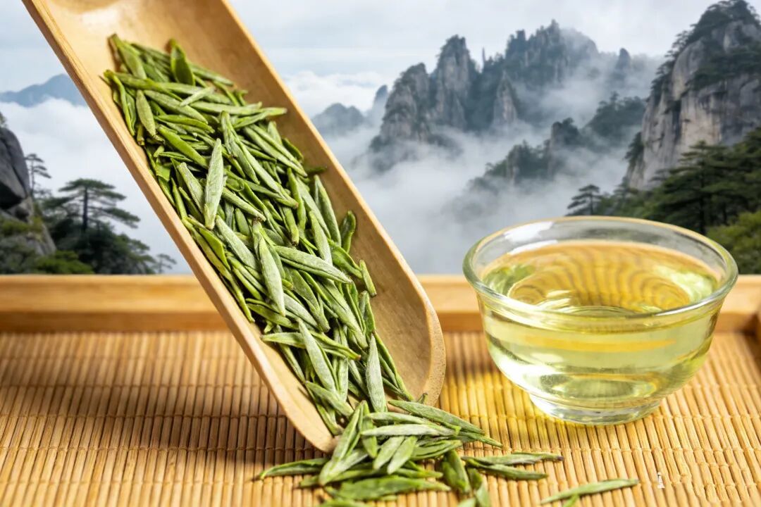 新手必看！一文读懂绿茶的“香气密码”，成为品茶高手！