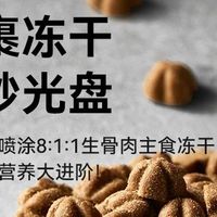 帕特烘焙犬粮实测✨泪痕犬&挑食怪闭眼冲