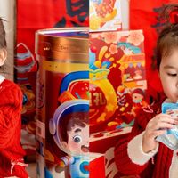 宝宝的大大大零食桶！新年送礼的王炸！