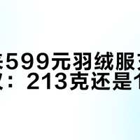 胖东来599元羽绒服充绒量争议：213克还是195克？值不值得买？