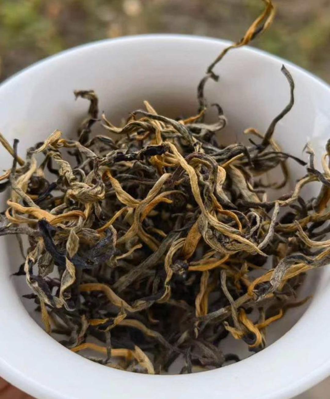 都是红茶，正山小种、金骏眉、祁红味道为啥天差地别？