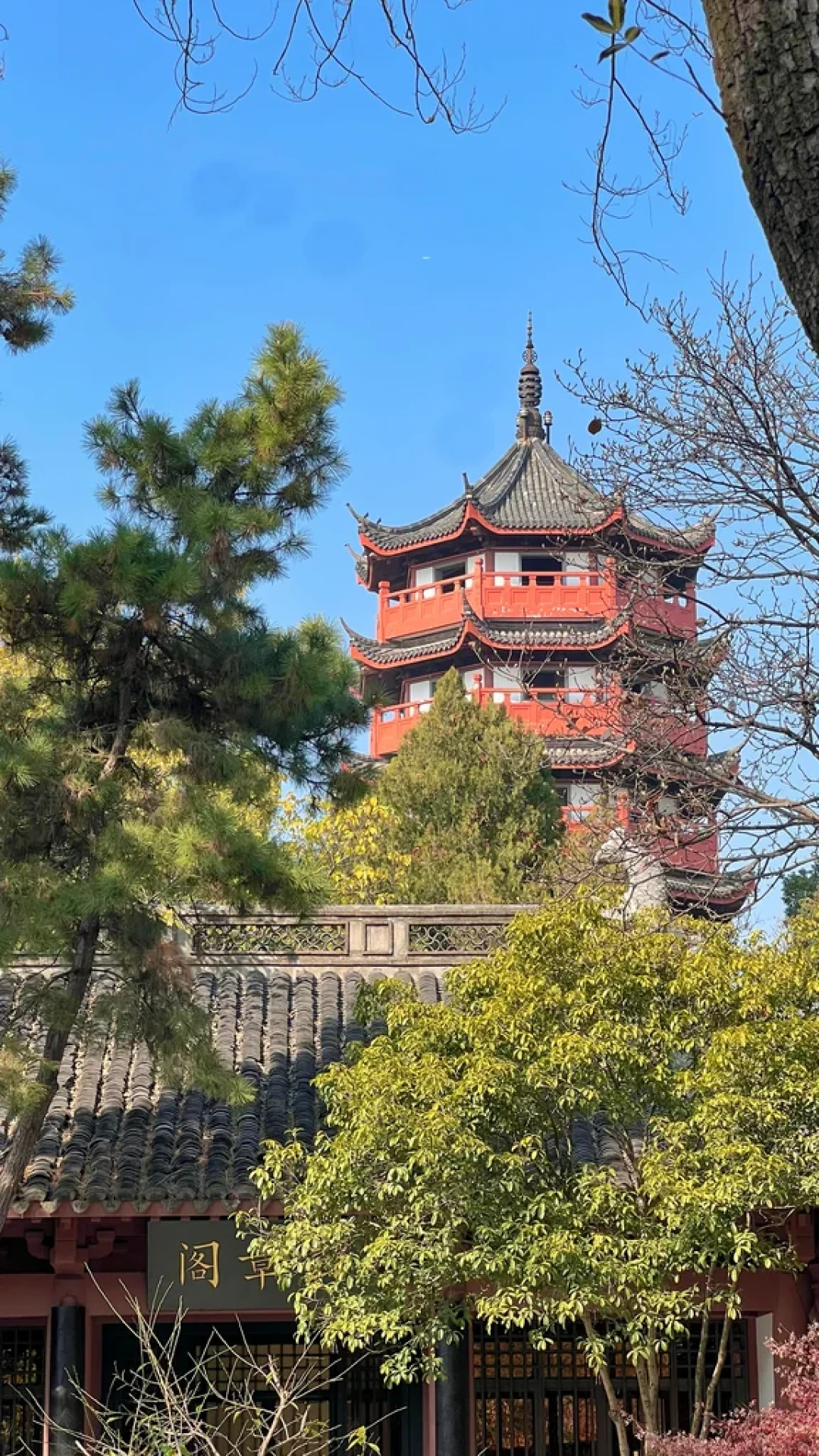 6小时速通衢州(不走回头路攻略版