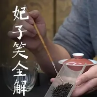 妃子笑红茶全解 什么是妃子笑红茶?|这么香是加了荔枝香精吗?妃子笑桐木小种红茶与其他红茶的区别?市面上的妃子笑为什么价格差那么多?如何挑选到优质的妃子笑正山小种?妃子笑怎么冲泡更好喝?
#妃子笑红茶 #妃子笑 #红茶 #木心说茶 #茶知识