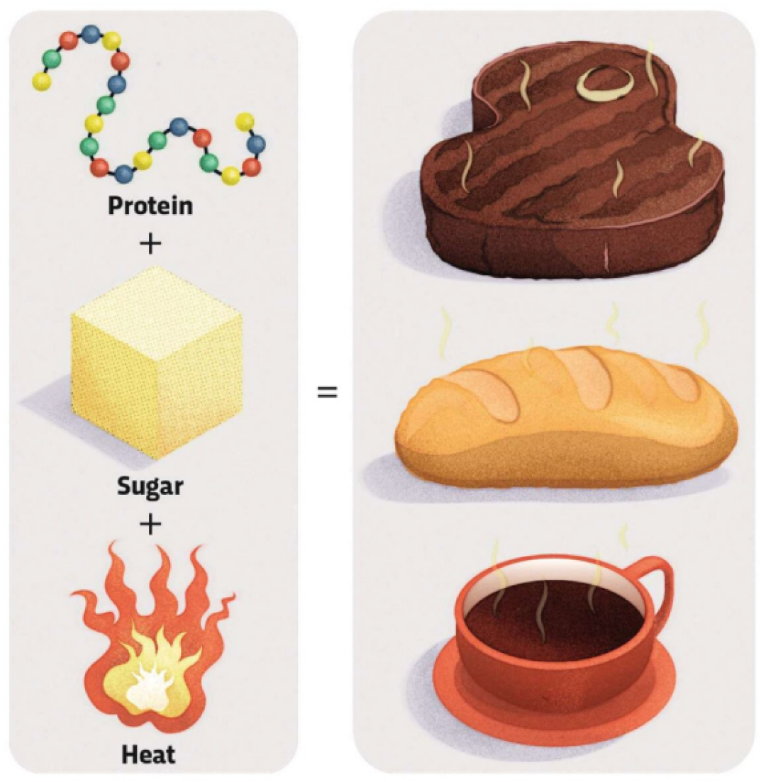 为什么你不能只吃生食减肥?肠胃:当我这几百万年白进化的?