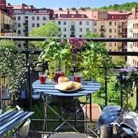 造一个阳台花园，品一杯清茶。