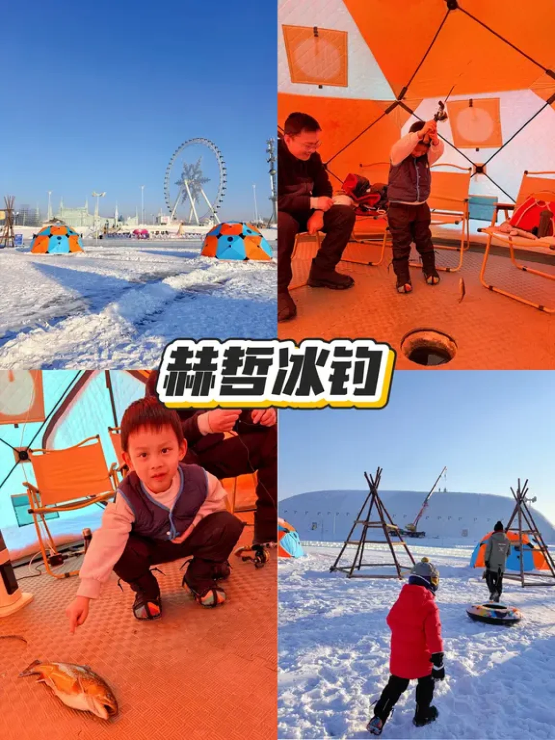 南方小土豆勇闯东北