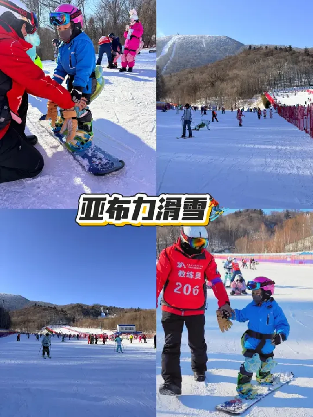 南方小土豆勇闯东北