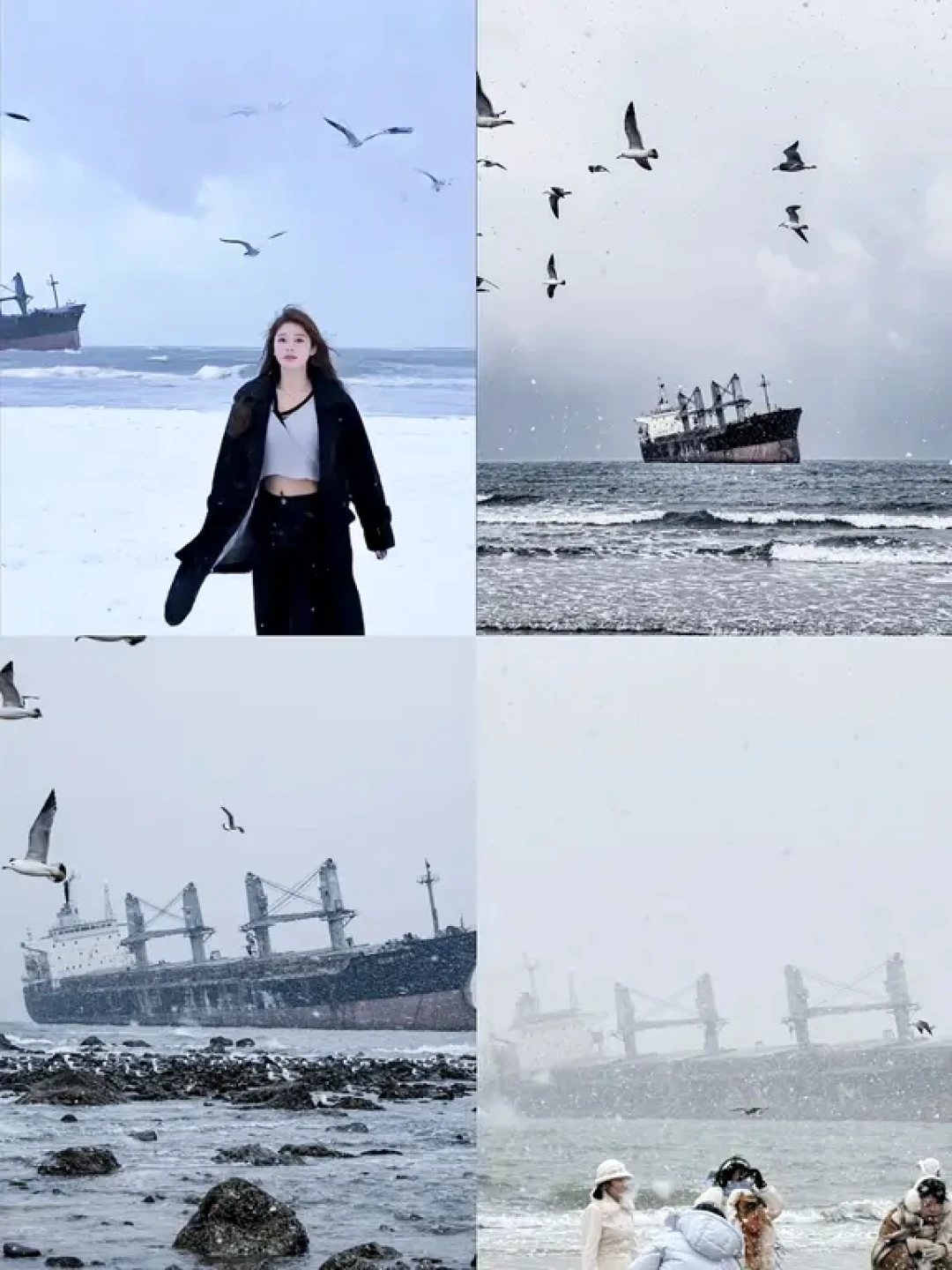 2026威海第2场雪(预告)错过悔一年