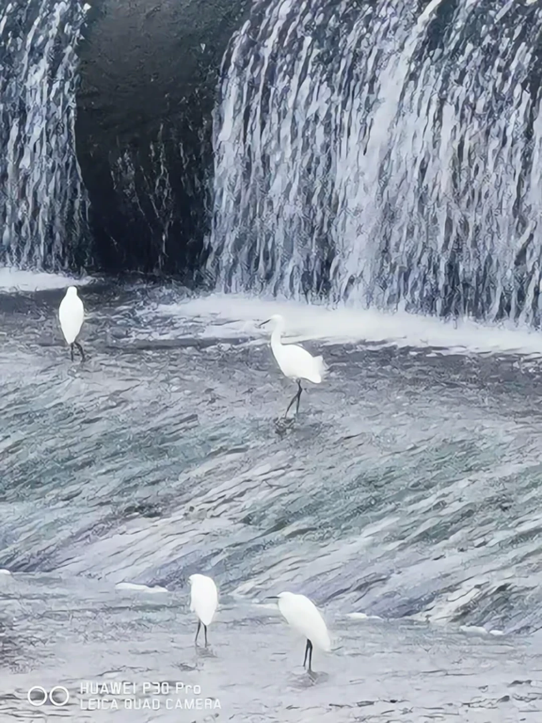 海南省白沙县