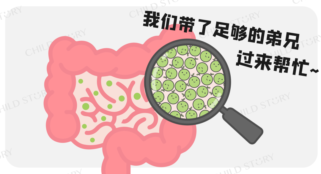 这么多人不知道?! 宝宝爱生病是肚子没养好