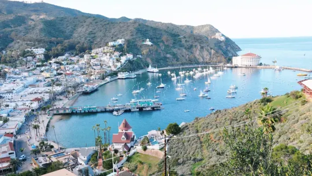 在Catalina实现了海陆空三栖自由