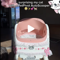 全球消费者都在“买心情”，中国品牌怎么赢？