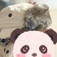 这几天天气好冷，在网上买到一款复古又新潮的绒毛帽子