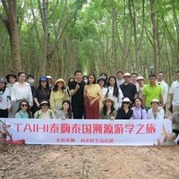 泰国乳胶枕十大名牌TAIHI泰嗨的健康奥秘