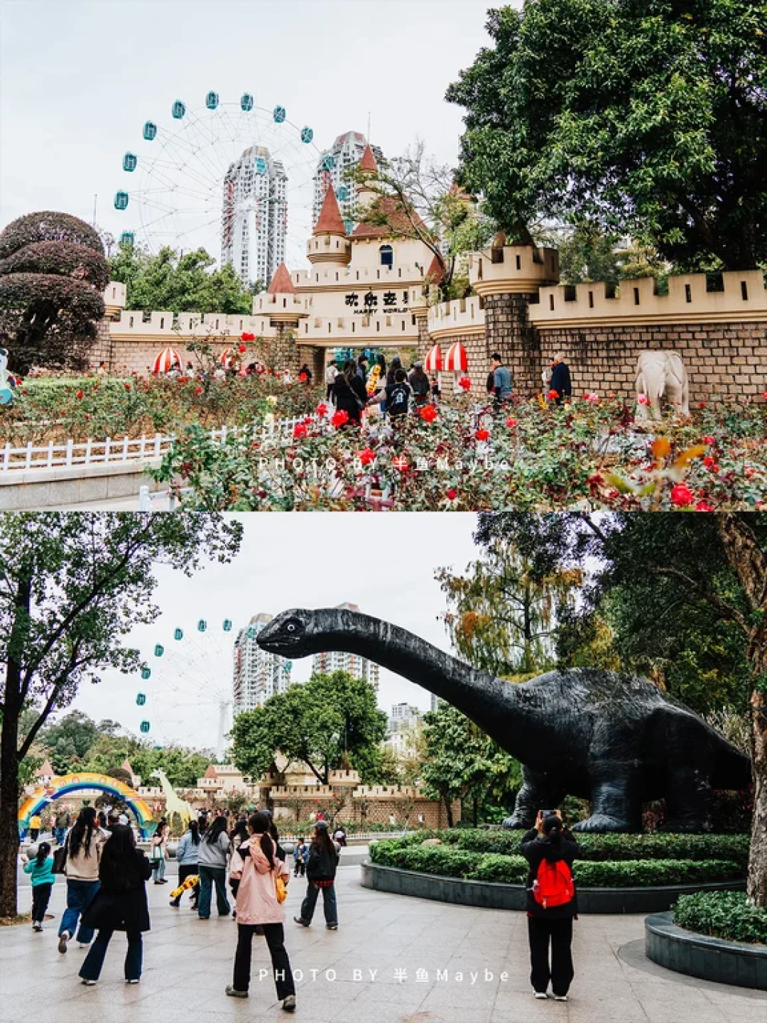 【广州·动物园】20元买来一天的治愈与快乐