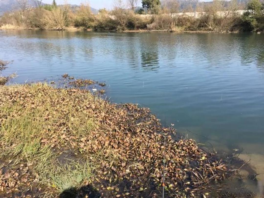 降温以后第几天才能钓鱼？切记，遇到这种天气简直是白送
