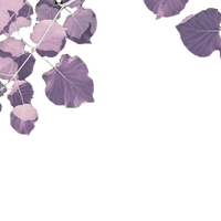 德国暴雪黑冰=赔钱季：门口摔一跤，谁买单？