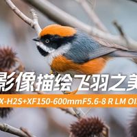 富士X-H2S+XF150-600mmF5.6-8 R LM OIS WR 用影像描绘飞羽之美