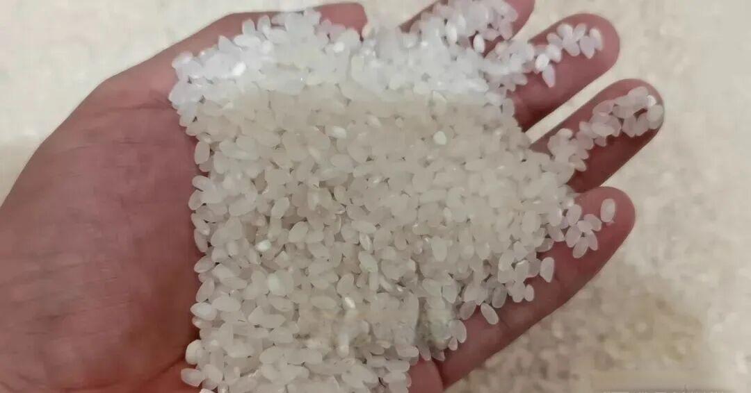 买大米时,选散装的还是袋装的,要长粒米还是圆粒米?看完涨知识