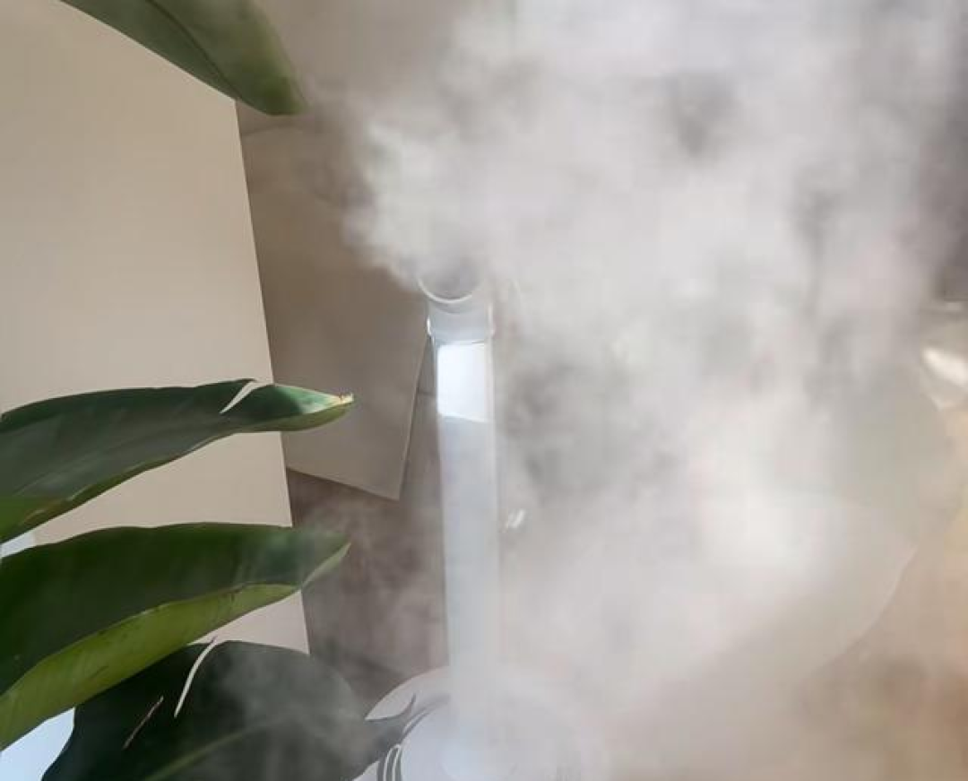 家里空间挺封闭的,为什么还有很多“毛毛”?如何彻底清理干净?