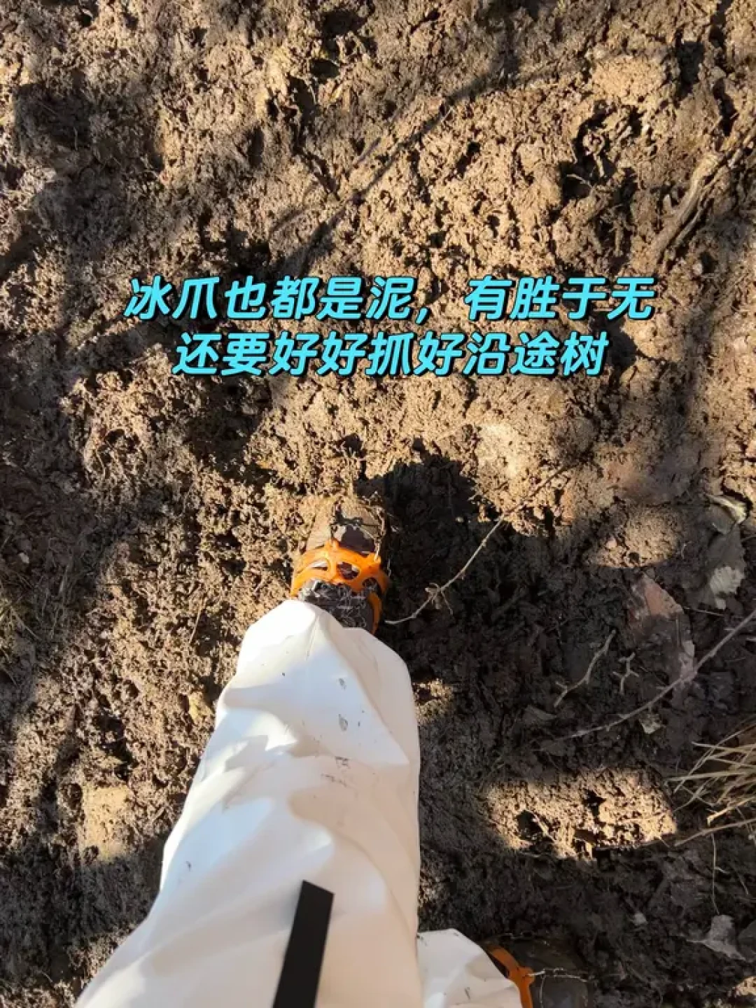 龙王山看雾凇血泪教训!(附实况)