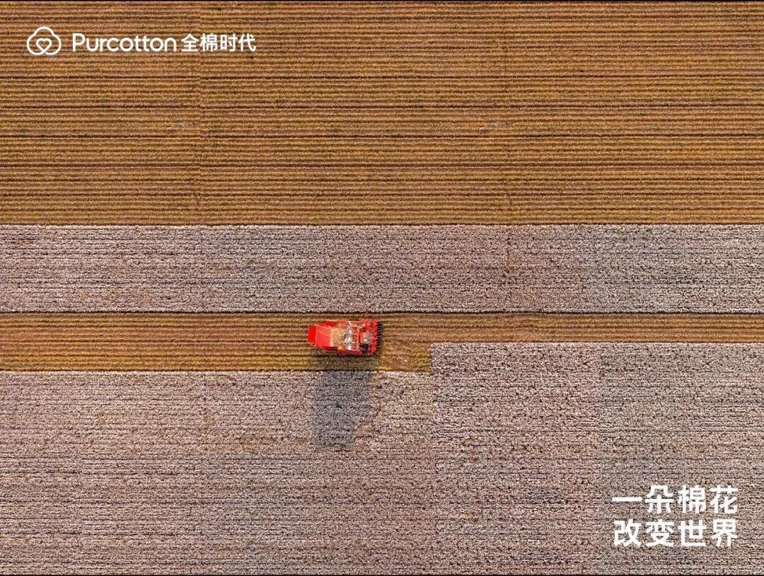 棉花这事闹这么大,我一点都不意外