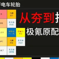 从夯到拉，锐评一下极氪原配的轮胎！#极氪 #极氪001 #大有氪为 #米其林