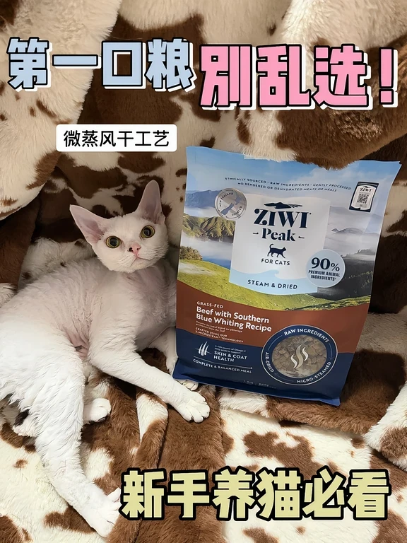巅峰黑科技！我家挑食猫“光盘”的秘密🤫