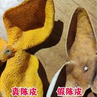 看图辨别真假新会陈皮，看懂同年份陈皮图片