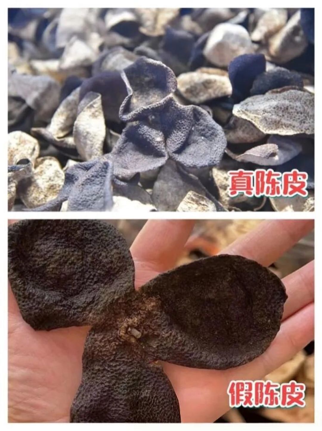 看图辨别真假新会陈皮，看懂同年份陈皮图片
