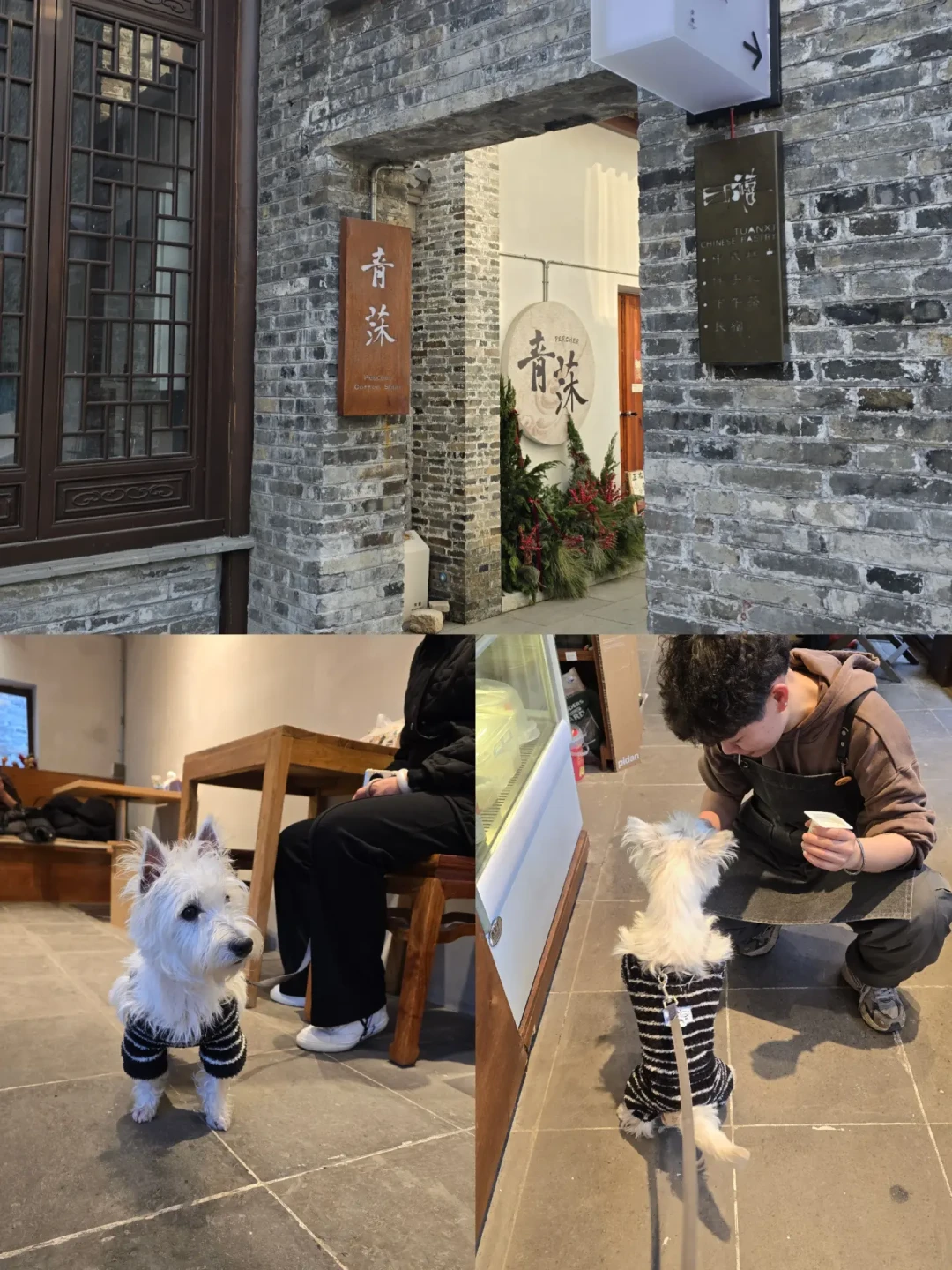 带着狗子游扬州攻略