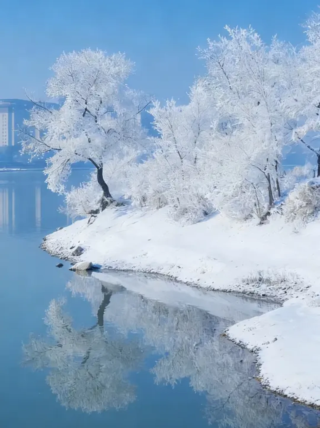 吉林雾凇❄️我只推荐一个地方(保姆级攻略)
