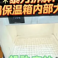 机动森林保温箱测评拆解 拆拆测测拆拆#鹦鹉 #机动森林 #鹦鹉保温箱 #鹦鹉保温箱diy #电子