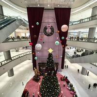 长沙游览记（3）