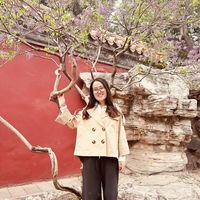 支付宝上的全能保医疗险能买不？