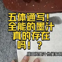 墨汁测评：五体通写全能的墨汁真的存在吗？#书法 #墨汁 #甄如画 #毛笔字 #国画