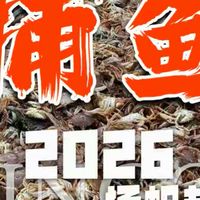 今年最后一期海上捕鱼视频了。回到熟悉的海区，螃蟹又又又爆网了，各位兄弟姐妹们看个过瘾，咱们明年海上再见