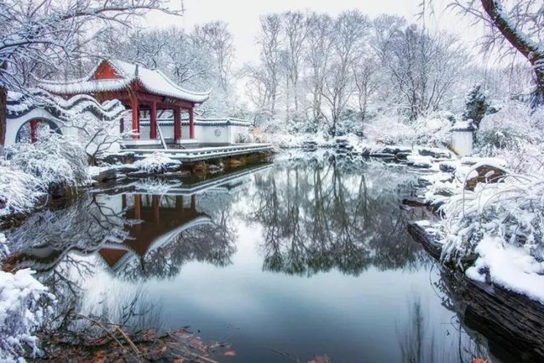 金陵一夜雪，紫金山巅现仙境，雾凇红墙美如画卷