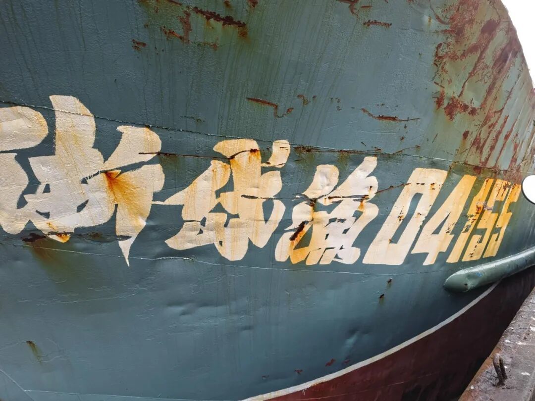 这种富含DHA的平价鱼，推荐你经常吃！