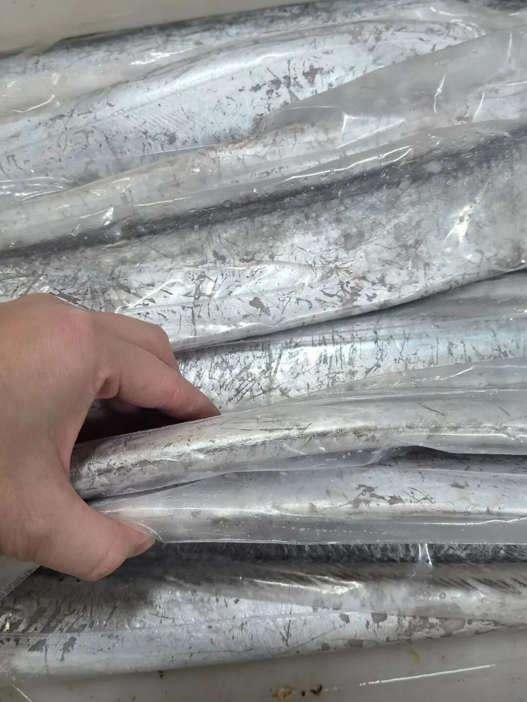 这种富含DHA的平价鱼，推荐你经常吃！