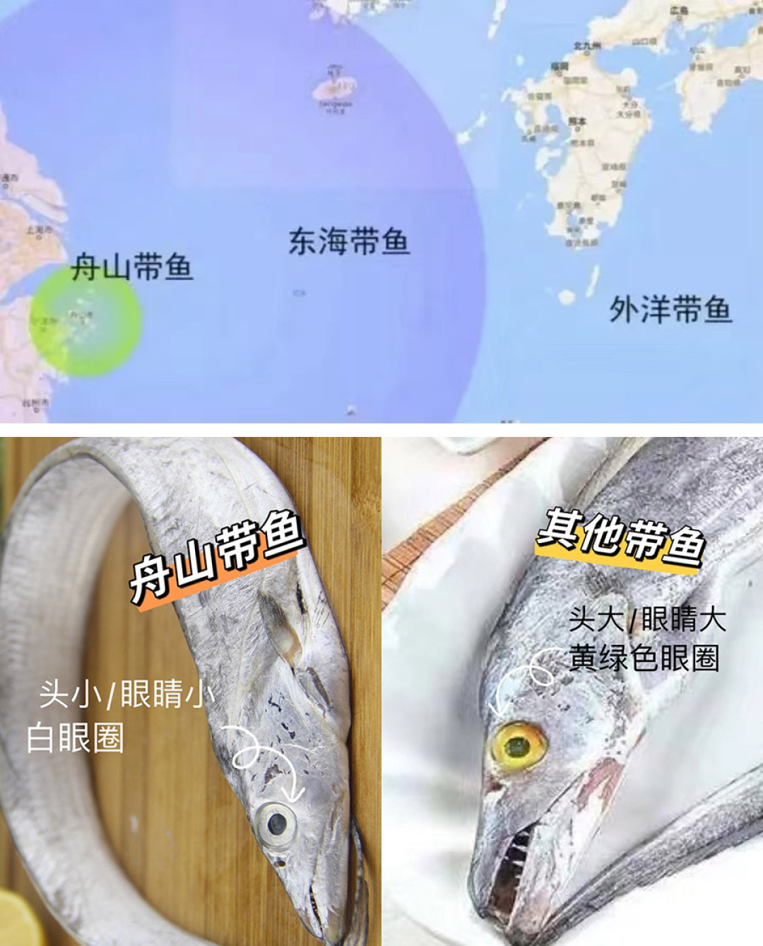 这种富含DHA的平价鱼，推荐你经常吃！