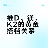 维D、镁、K2的黄金搭档关系