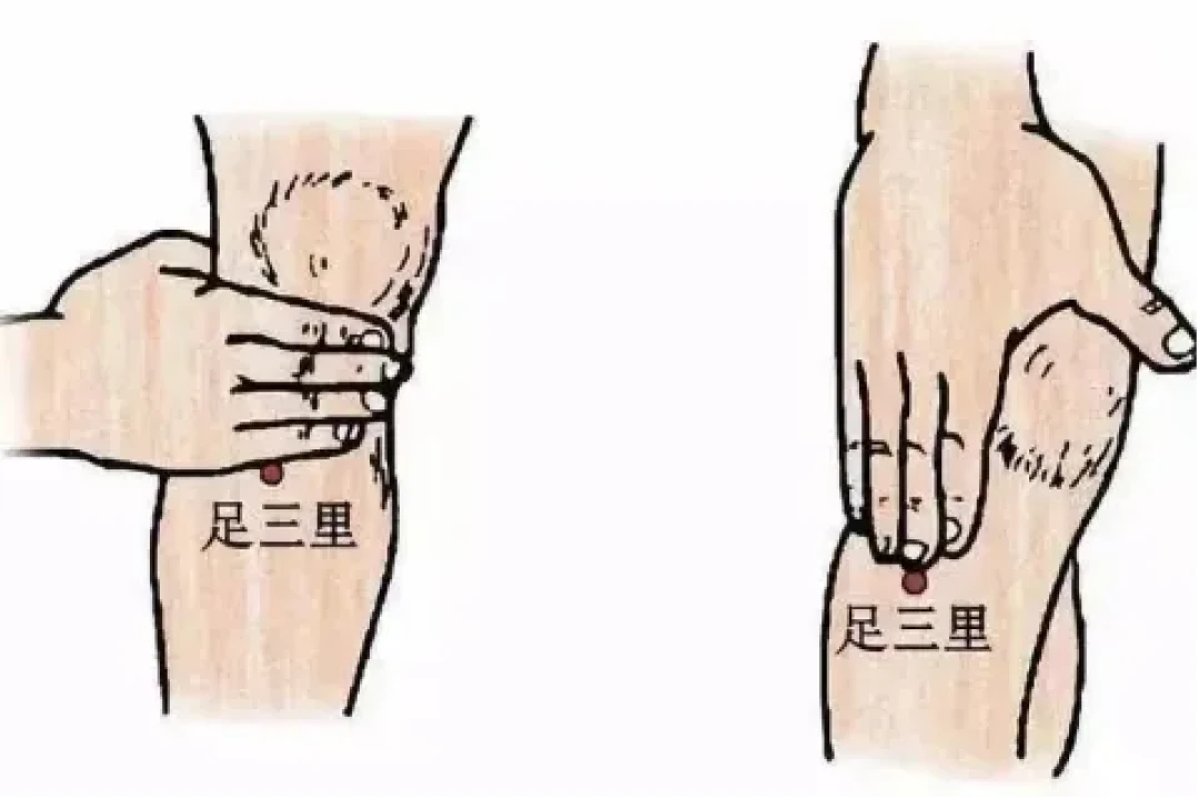 养生 | 岁暮寒深，养正待春