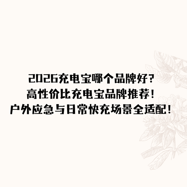 2026充电宝哪个品牌好？高性价比充电宝品牌推荐！应急快充全适配