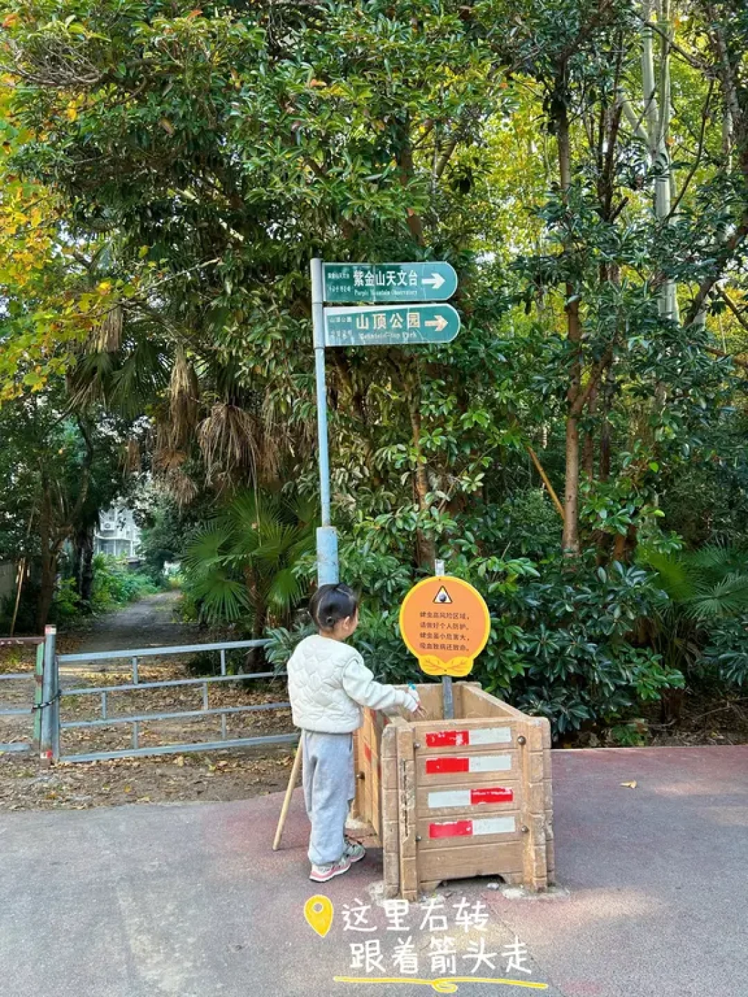 南京紫金山|宝藏亲子爬山徒步遛娃路线