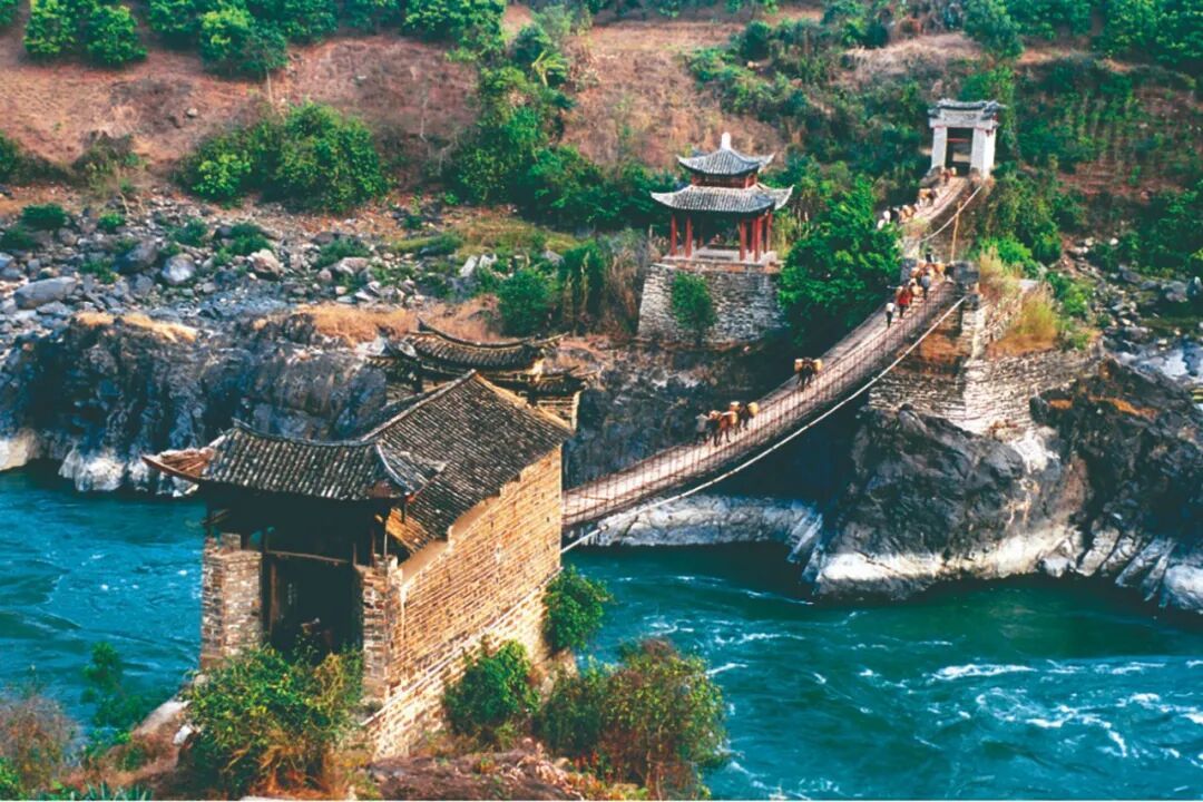 1月-2月来腾冲亲子旅游推荐这⑩个小众深度玩法,高黎贡山毛毛球森林徒步,荒野厨房,火山热海地质奇观,保山小粒咖啡品鉴
